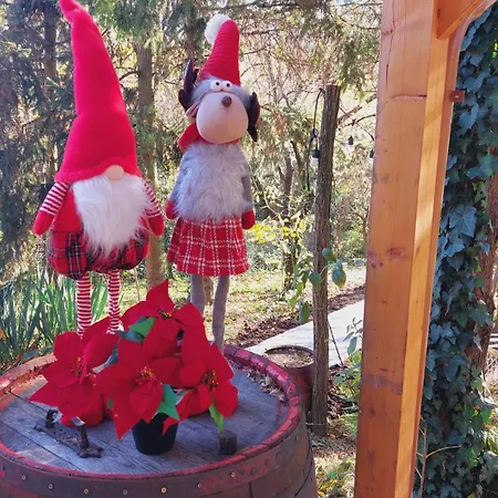 Casa de hóspedes Chillinn Csillag *