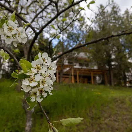 Chillinn Csillag * Eger