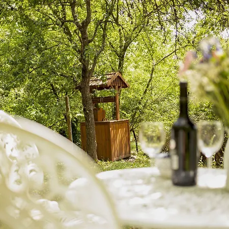 Chillinn Csillag Gasthuis