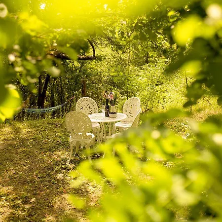 Chillinn Csillag Penzion *