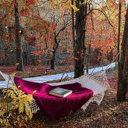 Chillinn Csillag * Eger