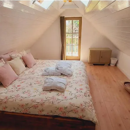 Chillinn Csillag Eger