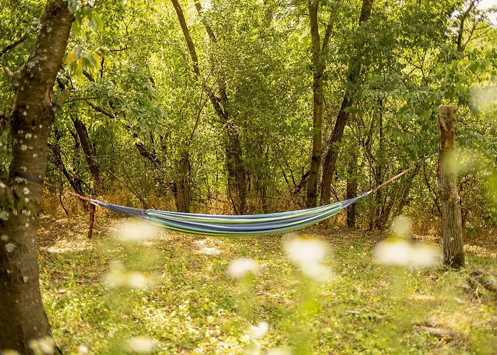 Chillinn Csillag Gasthuis Eger